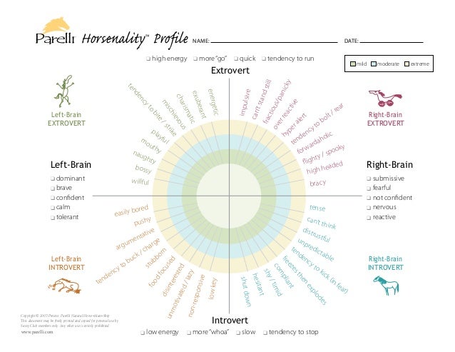 Introvert Vs Extrovert Chart
