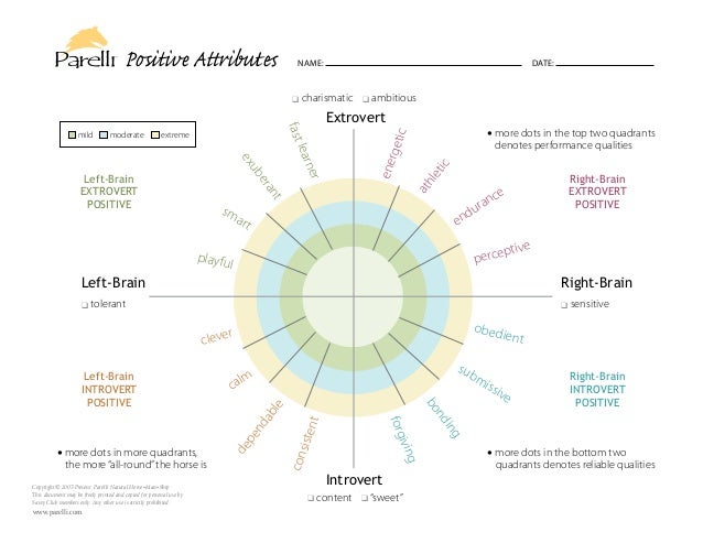 horsenality chart horsenality chart