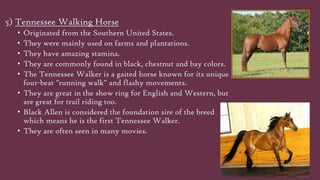 5) Tennessee Walking Horse
•
•
•
•
•

Originated from the Southern United States.
They were mainly used on farms and plantations.
They have amazing stamina.
They are commonly found in black, chestnut and bay colors.
The Tennessee Walker is a gaited horse known for its unique
four-beat "running walk" and flashy movements.
• They are great in the show ring for English and Western, but
are great for trail riding too.
• Black Allen is considered the foundation sire of the breed
which means he is the first Tennessee Walker.
• They are often seen in many movies.

 