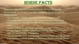 Horse Facts
• There are more than 300 breeds of horses all over the world.
• Horse breeds are divided into three categories based on general
temperament:
• “Hot bloods" – Only 2 recognized breeds: Arabians and
Thoroughbreds; known for their speed and endurance; their
temperament is considered difficult by some and passionate by
others
• “Cold bloods“– Draft horses and some ponies;
strong, rugged, durable animals suitable for slow, heavy work;
calm and good stable companions
• “Warm bloods“ such as American Quarter Horses and Mustangs
were developed from crosses between hot bloods and cold bloods

 