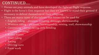 Continued….
• Horses are prey animals and have developed the fight-or-flight response.
• Flight is the horse’s first response but they are known to stand their ground if
necessary to defend themselves or their offspring.
• There are many types of disciplines that horses can be used for
• English riding – pleasure, jumping, dressage, showmanship
• Western riding – pleasure, horsemanship, reining, trail, showmanship
• Contesting – barrel racing, pole bending
• Cutting (herding)
• Rodeo events
• Trail riding
• Racing
• Driving carts
• Farm work

 