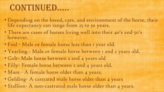 Continued…..
• Depending on the breed, care, and environment of the horse, their
life expectancy can range from 25 to 30 years.
• There are cases of horses living well into their 40’s and 50’s
however.
• Foal - Male or female horse less than 1 year old.
• Yearling - Male or female horse between 1 and 2 years old.
• Colt- Male horse between 2 and 4 years old
• Filly- Female horse between 2 and 4 years old.
• Mare - A female horse older than 4 years.
• Gelding- A castrated male horse older than 4 years
• Stallion- A non-castrated male horse older than 4 years.

 