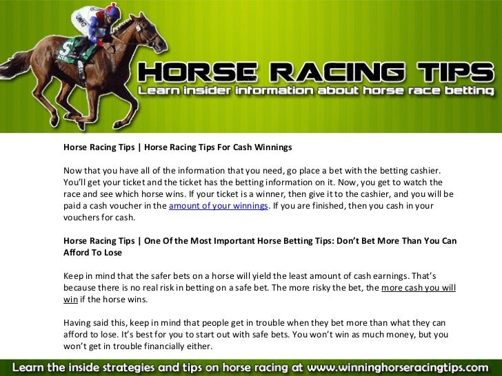 daily record horse racing tips