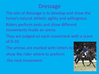 Show JumpingThe aim of show jumping is to clear a course of jumps within a time limit. Show jumping obstacles include verticals, spreads, combinations. The higher the level you compete at the tighter the turns will become, and distances harder to ride.  Show jumping requires scope, boldness, power, accuracy and speed. 