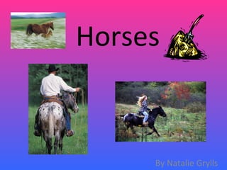 Horses By Natalie Grylls 