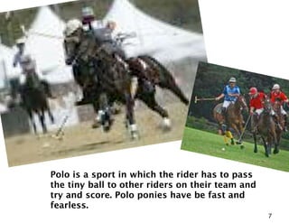 Polo is a sport in which the rider has to pass
the tiny ball to other riders on their team and
try and score. Polo ponies have be fast and
fearless.
                                                  7
 