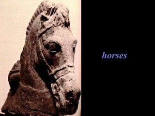 horses 