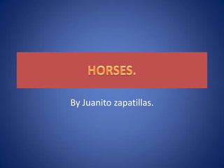 HORSES. By Juanito zapatillas. 