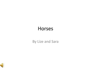 Horses

By Lize and Sara
 