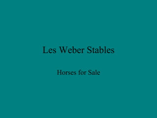 Les Weber Stables Horses for Sale 