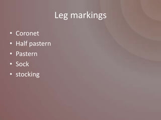 Leg markings
•   Coronet
•   Half pastern
•   Pastern
•   Sock
•   stocking
 