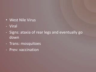 • West Nile Virus
- Viral
- Signs: ataxia of rear legs and eventually go
  down
- Trans: mosquitoes
- Prev: vaccination
 