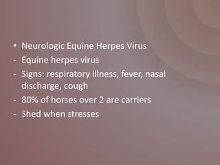 • Neurologic Equine Herpes Virus
- Equine herpes virus
- Signs: respiratory illness, fever, nasal
  discharge, cough
- 80% of horses over 2 are carriers
- Shed when stresses
 