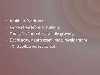 •   Wobbler Syndrome
-   Cervical vertebral instability
-   Young 4-24 months, rapidly growing
-   DX: history, neuro exam, rads, myelography
-   TX: stabilize vertebra, euth
 