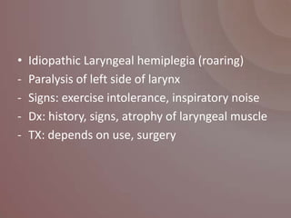 •   Idiopathic Laryngeal hemiplegia (roaring)
-   Paralysis of left side of larynx
-   Signs: exercise intolerance, inspiratory noise
-   Dx: history, signs, atrophy of laryngeal muscle
-   TX: depends on use, surgery
 