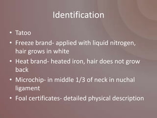 Identification
• Tatoo
• Freeze brand- applied with liquid nitrogen,
  hair grows in white
• Heat brand- heated iron, hair does not grow
  back
• Microchip- in middle 1/3 of neck in nuchal
  ligament
• Foal certificates- detailed physical description
 