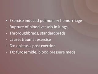 •   Exercise induced pulmonary hemorrhage
-   Rupture of blood vessels in lungs
-   Throroughbreds, standardbreds
-   cause: trauma, exercise
-   Dx: epistasis post exertion
-   TX: furosemide, blood pressure meds
 