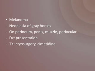 •   Melanoma
-   Neoplasia of gray horses
-   On perineum, penis, muzzle, periocular
-   Dx: presentation
-   TX: cryosurgery, cimetidine
 