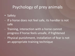 Psychology of prey animals
• Safety
- If a horse does not feel safe, its handler is not
  safe
- Training, interaction with a horse cannot
  progress if horse feels unsafe, if frightened
- Physical punishment, installation of fear is not
  an appropriate training technique
 