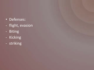 •   Defenses:
-   flight, evasion
-   Biting
-   Kicking
-   striking
 