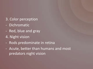 3. Color perception
- Dichromatic
- Red, blue and gray
4. Night vision
- Rods predominate in retina
- Acute, better than humans and most
  predators night vision
 
