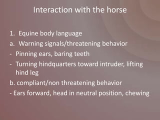 Interaction with the horse

1. Equine body language
a. Warning signals/threatening behavior
- Pinning ears, baring teeth
- Turning hindquarters toward intruder, lifting
   hind leg
b. compliant/non threatening behavior
- Ears forward, head in neutral position, chewing
 