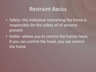 Restraint Basics
• Safety- the individual restraining the horse is
  responsible for the safety of all persons
  present
• Halter- allows you to control the horses head,
  if you can control the head, you can control
  the horse
 