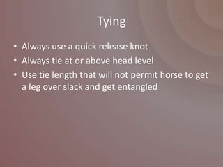Tying
• Always use a quick release knot
• Always tie at or above head level
• Use tie length that will not permit horse to get
  a leg over slack and get entangled
 