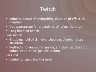 Twitch
• Induces release of endorphins, duration of effect 15
  minutes
• Not appropriate for procedures of longer duration
• Long handled twitch
Skin Twitch
• Grabbing hold of skin over shoulder, diverts horses
  attention
• Redirects horses apprehension, anticipation, does not
  induce endorphins, just distraction
Ear Hold
• Useful for steadying the head
 
