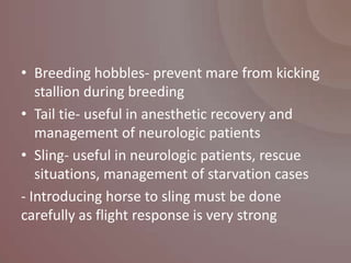 • Breeding hobbles- prevent mare from kicking
   stallion during breeding
• Tail tie- useful in anesthetic recovery and
   management of neurologic patients
• Sling- useful in neurologic patients, rescue
   situations, management of starvation cases
- Introducing horse to sling must be done
carefully as flight response is very strong
 