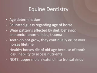 Equine Dentistry
• Age determination
- Educated guess regarding age of horse
- Wear patterns affected by diet, behavior,
  anatomic abnormalities, trauma
- Teeth do not grow, they continually erupt over
  horses lifetime
- Healthy horses die of old age because of tooth
  loss, inability to access nutrients
- NOTE: upper molars extend into frontal sinus
 