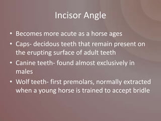 Incisor Angle
• Becomes more acute as a horse ages
• Caps- decidous teeth that remain present on
  the erupting surface of adult teeth
• Canine teeth- found almost exclusively in
  males
• Wolf teeth- first premolars, normally extracted
  when a young horse is trained to accept bridle
 