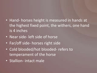 • Hand- horses height is measured in hands at
  the highest fixed point, the withers, one hand
  is 4 inches
• Near side- left side of horse
• Far/off side- horses right side
• Cold blooded/hot blooded- refers to
  temperament of the horse
• Stallion- intact male
 