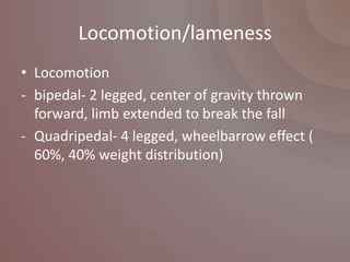 Locomotion/lameness
• Locomotion
- bipedal- 2 legged, center of gravity thrown
  forward, limb extended to break the fall
- Quadripedal- 4 legged, wheelbarrow effect (
  60%, 40% weight distribution)
 