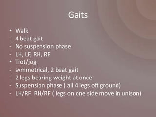 Gaits
•   Walk
-   4 beat gait
-   No suspension phase
-   LH, LF, RH, RF
•   Trot/jog
-   symmetrical, 2 beat gait
-   2 legs bearing weight at once
-   Suspension phase ( all 4 legs off ground)
-   LH/RF RH/RF ( legs on one side move in unison)
 