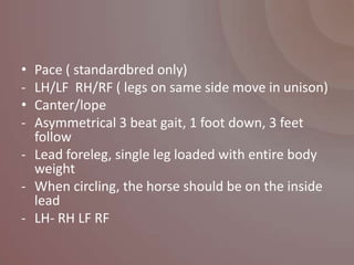 • Pace ( standardbred only)
- LH/LF RH/RF ( legs on same side move in unison)
• Canter/lope
- Asymmetrical 3 beat gait, 1 foot down, 3 feet
  follow
- Lead foreleg, single leg loaded with entire body
  weight
- When circling, the horse should be on the inside
  lead
- LH- RH LF RF
 
