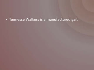• Tennesse Walkers is a manufactured gait
 