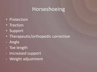 Horseshoeing
•   Protection
•   Traction
•   Support
•   Therapeutic/orthopedic correction
-   Angle
-   Toe length
-   Increased support
-   Weight adjustment
 
