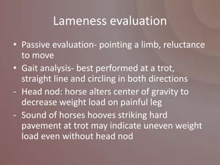 Lameness evaluation
• Passive evaluation- pointing a limb, reluctance
  to move
• Gait analysis- best performed at a trot,
  straight line and circling in both directions
- Head nod: horse alters center of gravity to
  decrease weight load on painful leg
- Sound of horses hooves striking hard
  pavement at trot may indicate uneven weight
  load even without head nod
 