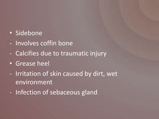 • Sidebone
- Involves coffin bone
- Calcifies due to traumatic injury
• Grease heel
- Irritation of skin caused by dirt, wet
  environment
- Infection of sebaceous gland
 