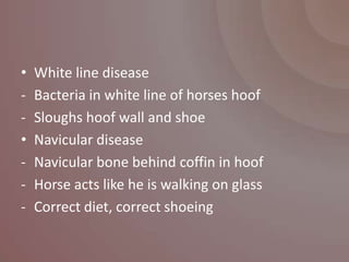 •   White line disease
-   Bacteria in white line of horses hoof
-   Sloughs hoof wall and shoe
•   Navicular disease
-   Navicular bone behind coffin in hoof
-   Horse acts like he is walking on glass
-   Correct diet, correct shoeing
 