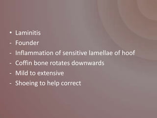 •   Laminitis
-   Founder
-   Inflammation of sensitive lamellae of hoof
-   Coffin bone rotates downwards
-   Mild to extensive
-   Shoeing to help correct
 