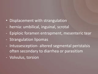 • Displacement with strangulation
- hernia: umbilical, inguinal, scrotal
- Epiploic foramen entrapment, mesenteric tear
- Strangulation lipomas
- Intussesception- altered segmental peristalsis
  often secondary to diarrhea or parasitism
- Volvulus, torsion
 