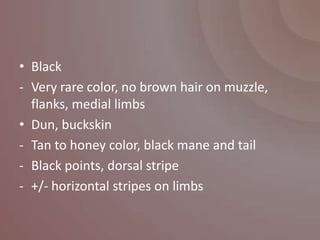 • Black
- Very rare color, no brown hair on muzzle,
  flanks, medial limbs
• Dun, buckskin
- Tan to honey color, black mane and tail
- Black points, dorsal stripe
- +/- horizontal stripes on limbs
 