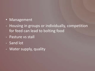 • Management
- Housing in groups or individually, competition
  for feed can lead to bolting food
- Pasture vs stall
- Sand lot
- Water supply, quality
 