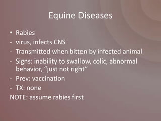 Equine Diseases
• Rabies
- virus, infects CNS
- Transmitted when bitten by infected animal
- Signs: inability to swallow, colic, abnormal
  behavior, “just not right”
- Prev: vaccination
- TX: none
NOTE: assume rabies first
 