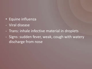 •   Equine influenza
-   Viral disease
-   Trans: inhale infective material in droplets
-   Signs: sudden fever, weak, cough with watery
    discharge from nose
 