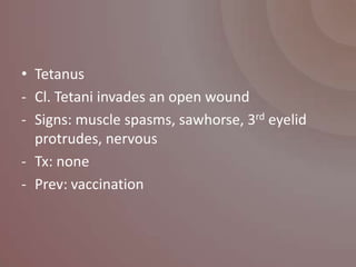 • Tetanus
- Cl. Tetani invades an open wound
- Signs: muscle spasms, sawhorse, 3rd eyelid
  protrudes, nervous
- Tx: none
- Prev: vaccination
 