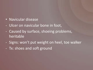 • Navicular disease
- Ulcer on navicular bone in foot,
- Caused by surface, shoeing problems,
  heritable
- Signs: won’t put weight on heel, toe walker
- Tx: shoes and soft ground
 
