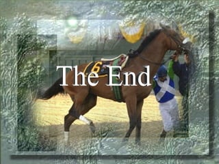 The End 